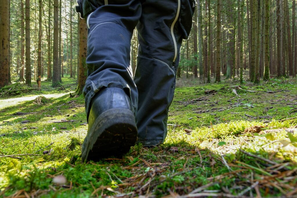 shoe, running, forest floor-4554953.jpg